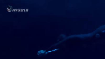 自由潜水员阿莱西亚与男友史蒂芬的生死恋，爱与深海的永恒羁绊 .世界第一大危险运动