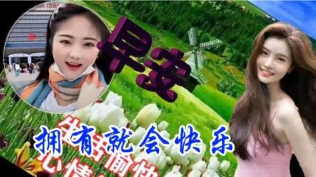 视频号早安祝福玩法，无脑操作项目，发一个火一个，每...-课程-网盘资源分享
