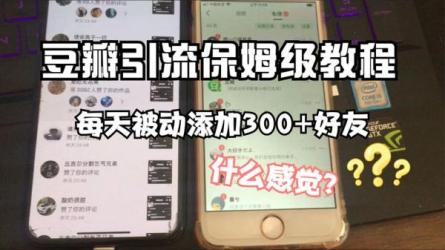 豆瓣精准暴力引流，日引精...500+【12视频课】-课程-网盘资源分享