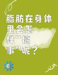 脂肪在身体里的“搞事”真相，减肥避雷