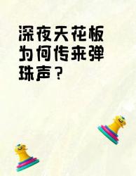 天花板半夜总响？揭秘弹珠声真相！