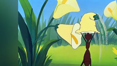 蚂蚁独特魅力提升、搬运趣事、报复行动与人类野外“互动”故事 .黄鼠狼长什么样子