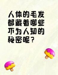 人体毛发的秘密，你知道多少