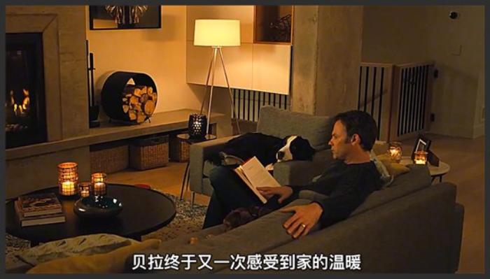 贤于漫漫回家路，诠释狗狗与主人的羁绊《一条狗的回家路》-吾爱原创解说文案-[原创首发]-吾爱文案网