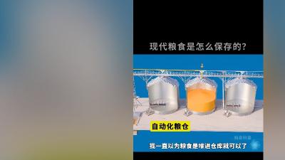 见识荷兰农村现代化自动粮仓，探秘古今多样储粮方式与粮食重要性 .抖音精选