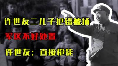[视]1979年许世友二儿子犯下错误，军区不好处理，许世友：直接枪毙！-原创解说文案