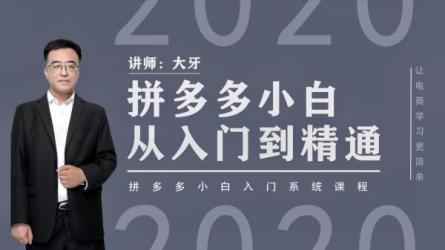 逐鹿学堂拼多多超级爆款操盘手全案课，入门篇+进阶篇-课程-网盘资源分享