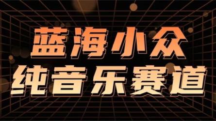 蓝海小众纯音乐项目，细分领域，让你轻松月入2w-课程-网盘资源分享