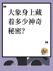 大象冷知识大揭秘！看完想立刻抱抱它们！