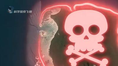 北哨兵岛：人类禁地，拒绝接触，探险者有去无回，背后秘密引人深思 .北哨兵岛