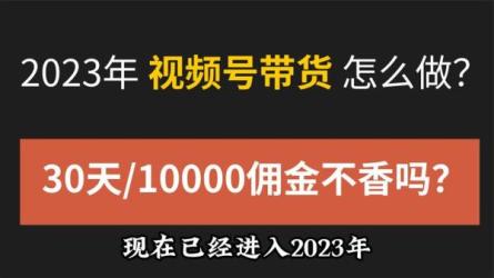 跟陈奶爸学快手书单变现_15-课程-网盘资源分享