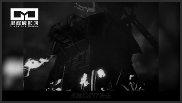 《科学怪人的新娘》恐怖电影的里程碑《科学怪人的新娘》弗兰肯斯坦系列中最好的一部《邪恶的科学怪人》-吾爱原创解说文案-[原创首发]-吾爱文案网