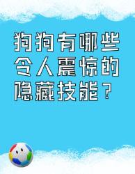汪星人隐藏技能大公开看完直呼这波输给修勾了