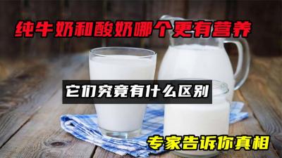 纯牛奶和酸奶哪个更有营养？它们究竟有什么区别，专家告诉你真相-原创解说文案