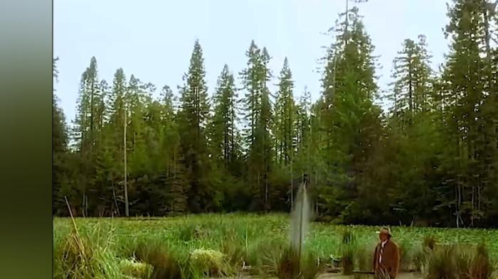 男人开枪获石油成富豪，进城闹乌龙，一家人经历一系列精彩故事 .贝弗利山-[原创首发]-吾爱文案网