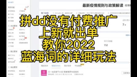 蓝海项目拼多多视频带货课，2022年入百万新风口【视频教...-课程-网盘资源分享