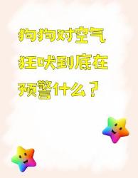 狗狗对空气狂吠时它们真的在预警人类看不见的东西吗？