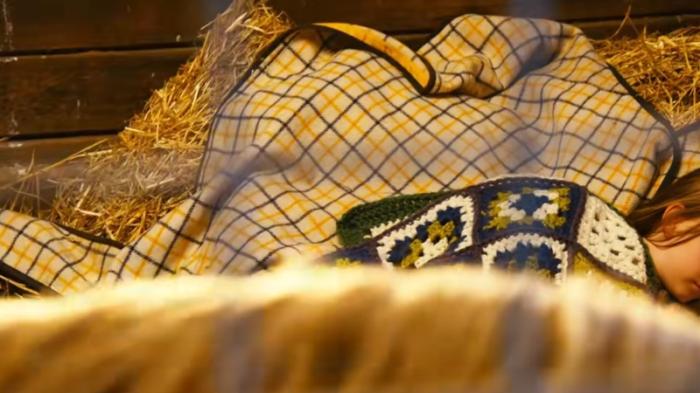 赛马女孩米歇尔历经坎坷，终成墨尔本杯史上首位女冠军 .米歇尔佩恩-[原创首发]-吾爱文案网