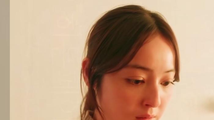 女子整容复仇潜入仇人家，意外发现仇人真面目，展开惊险复仇之旅 .佐佐木希-[原创首发]-吾爱文案网