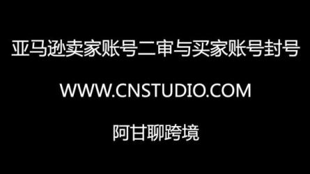 阿甘聊跨境-亚马逊入门到精通培训课程[26套]：-课程-网盘资源分享