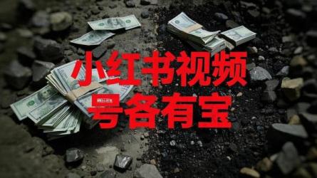 小红书视频号各有宝