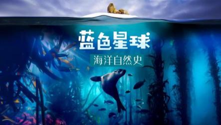 蓝色星球纪录片-课程-网盘资源分享