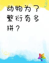 动物为爱拼命起来，人类都自愧不如！