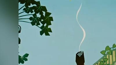 青年与海螺仙女历经考验，执着爱情成就海边浪漫永恒的美丽神话 .海螺姑娘