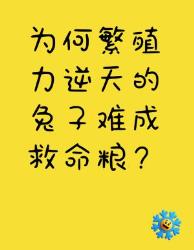 繁殖力逆天的兔子，为何救不了饥荒？看完不敢养了！