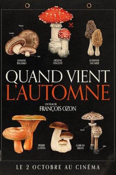 《秋日何时来》我相信没有谋杀