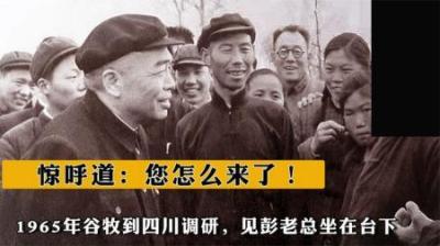 [视]1965年谷牧到四川调研，见彭老总坐在台下，惊呼道：您怎么来了！-原创解说文案