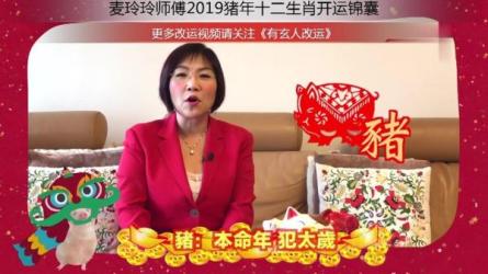 麦玲玲亲授：新年开运整理术，人旺财旺桃花旺！-课程-网盘资源分享