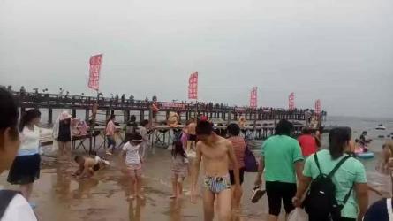 黄岛主：80后怀旧短视频项目-课程-网盘资源分享