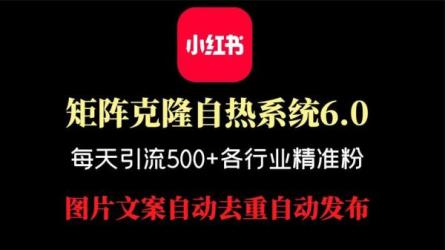 视频精准引流矩阵打造，帮助新手建立涨粉系统！【视频...-课程-网盘资源分享