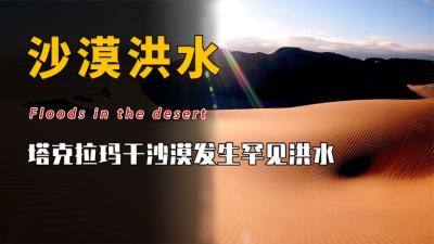 沙漠真在下暴雨？古老预言里中国将登上世界之巅？事情并不简单！-原创解说文案