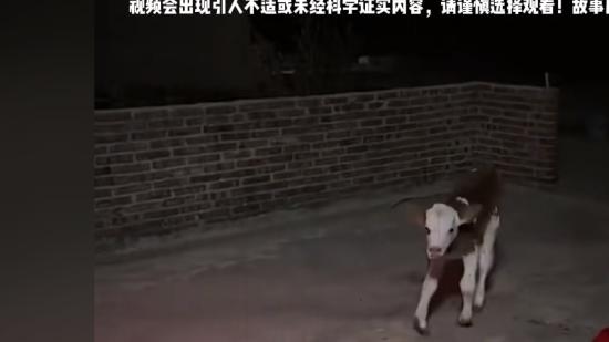 90年代山村媳妇遇讨封猴子，回怼后遭报复，后续传闻令人胆寒 .伪牛讨封