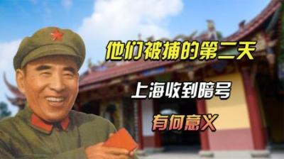 [视]1976年四人被捕之后，上海收到我娘心肌梗死的暗号，到底有何用意-原创解说文案