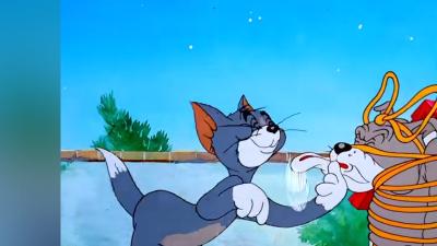 猫和老鼠经典场面：汤姆求偶途中与杰瑞、斯派克展开系列搞笑争斗 .猫和老鼠