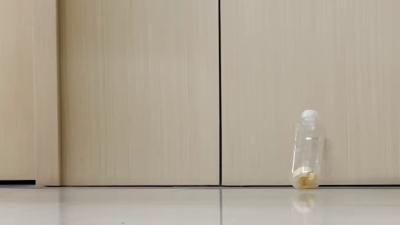 汽车安全大揭秘：福特锐界L 与游骑侠的安全细节及卓越表现 .福特锐界l