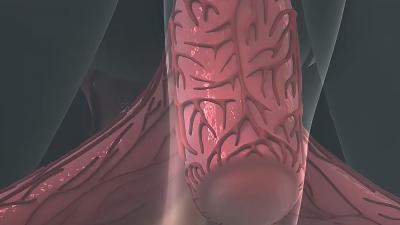 科普阴蒂知识：女性快乐源泉的真实面貌与生理奥秘 .电影《哪吒2》