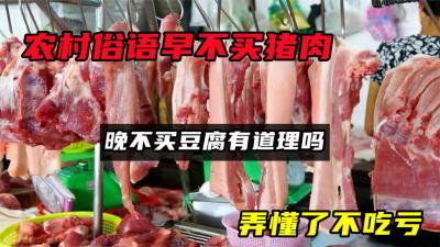 农村俗语“早不买猪肉，晚不买豆腐”，有道理吗？弄懂了不吃亏-原创解说文案