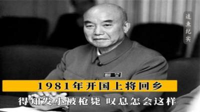 [视]1981年开国上将回乡，得知发小31年前被枪毙，叹息道：怎么会这样-原创解说文案