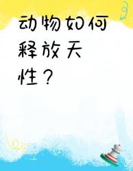 动物圈那些不可描述的秘密奇怪知识又增加了！