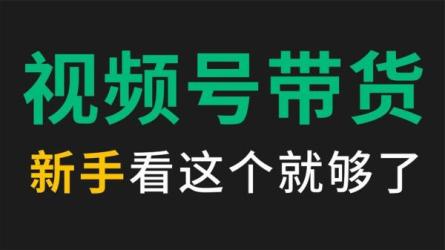 跟陈奶爸学快手书单变现-课程-网盘资源分享