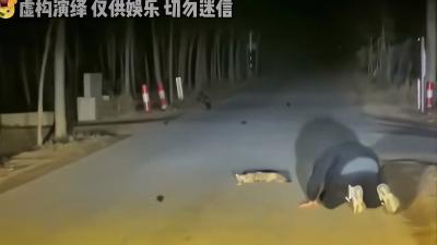 货车司机夜遇黑猫拦路，经历离奇事件，从此敬畏生灵守护生命 .有一种动物拦路必须马上过去