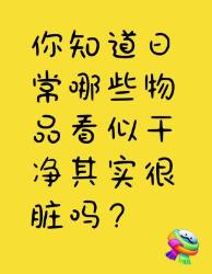 这些看似干净的日常物品其实脏到超乎想象！