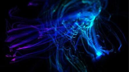老鹰C4D教程之100天进阶计划_16-课程-网盘资源分享