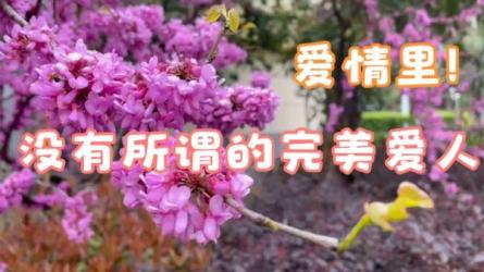 黄仕明情绪疗愈心理课程-课程-网盘资源分享
