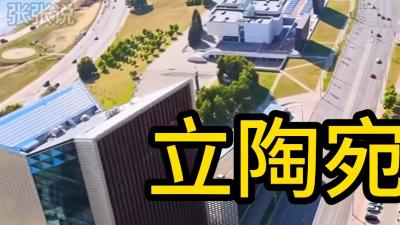 立陶宛疯狂反华内幕：小国往事、抱美大腿与中国强力反击 .立陶宛
