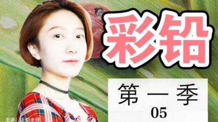 零基础学绘画+素描-课程-网盘资源分享